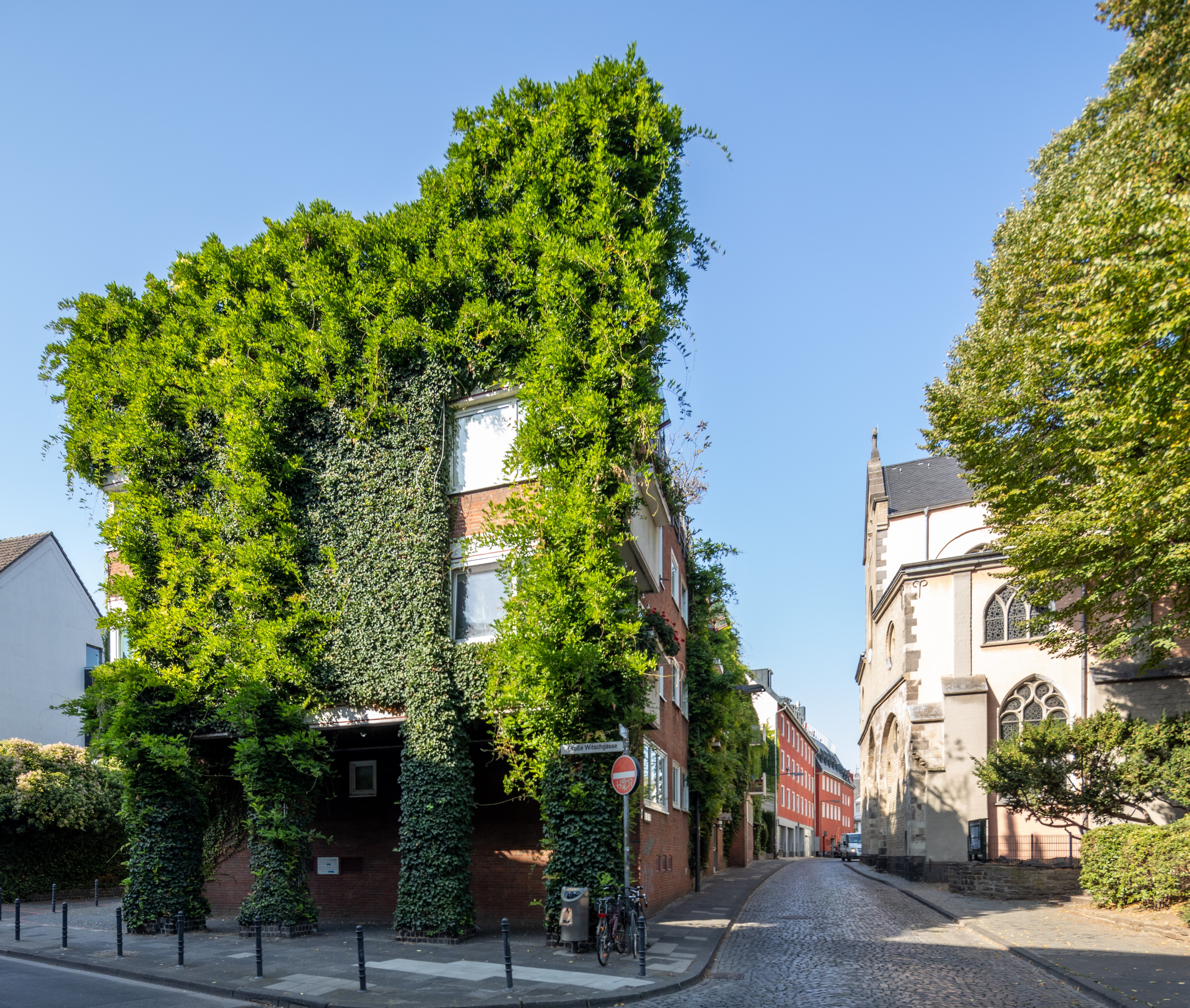 Begrünte Hausfassade an Kölner Mehrfamilienhaus der Aachener Siedlungs- und Wohnungsgesellschaft mbH, Köln, seit 1990. Foto: Benjamin Marx © Aachener Siedlungs- und Wohnungsgesellschaft mbH