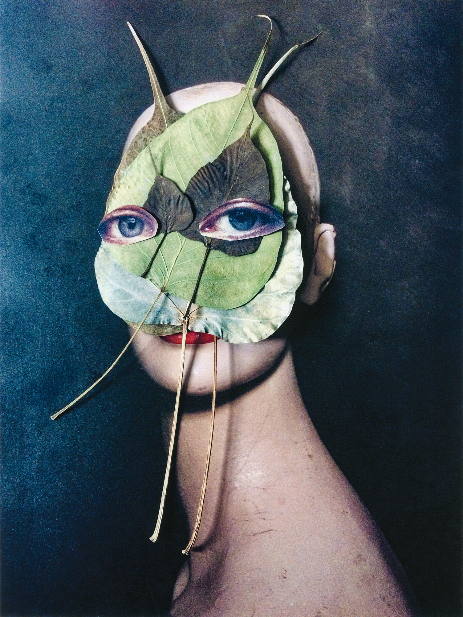Kunstpalast 2022 DIE_GROSSE 2022 / Norika Nienstedt Bodhi Blätter 2021 - Analogcollage mit getrockneten Bodhibaum Blättern 32x18,5 cm ©Norika Nienstedt