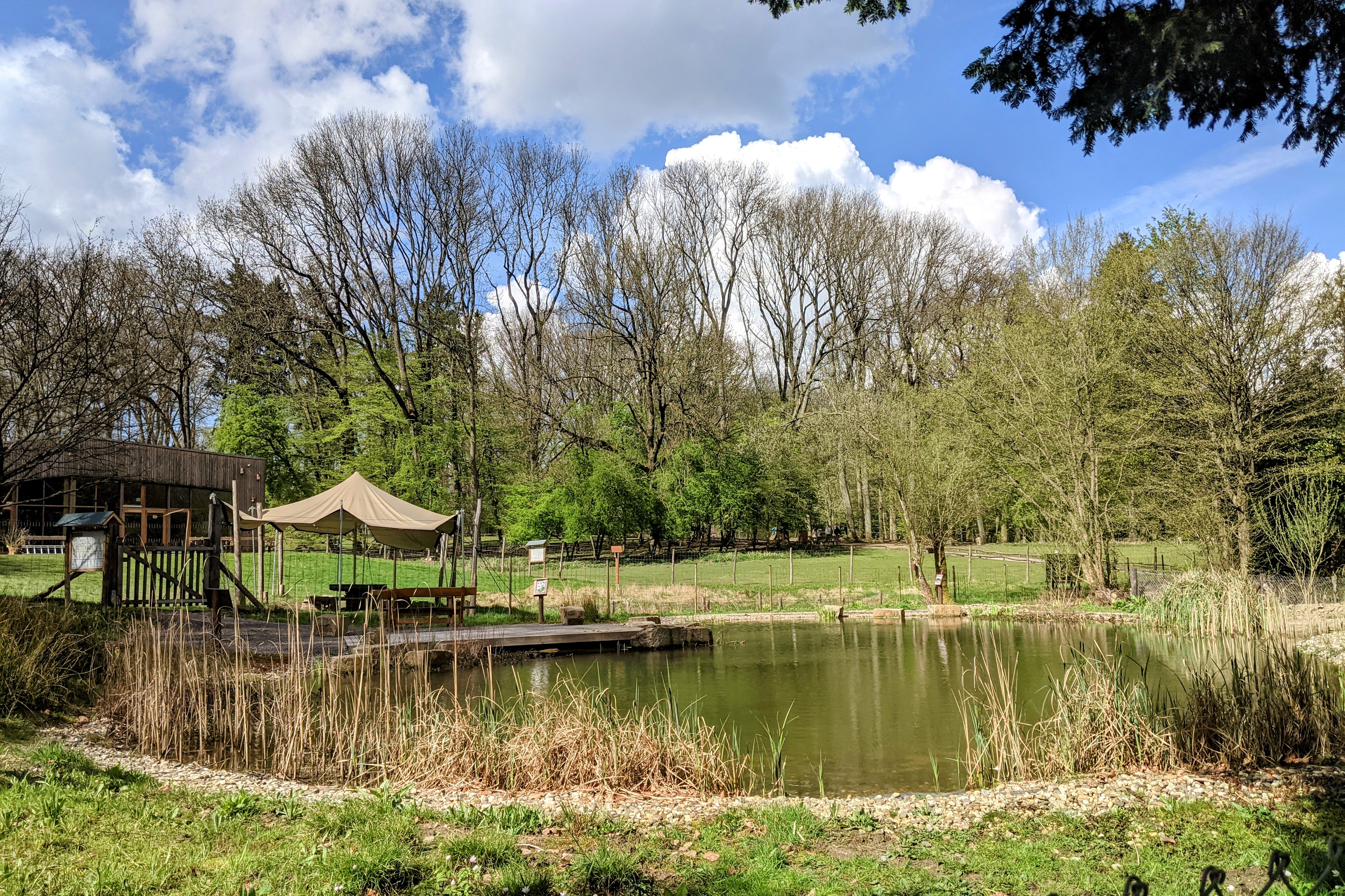 Im Wildpark Grafenberg ist außerdem ein großer Amphibien- und Forscherteich an der Waldschule entstanden / Foto: Wildpark Düsseldorf Grafenberg © Alexandra Scholz Marcovich