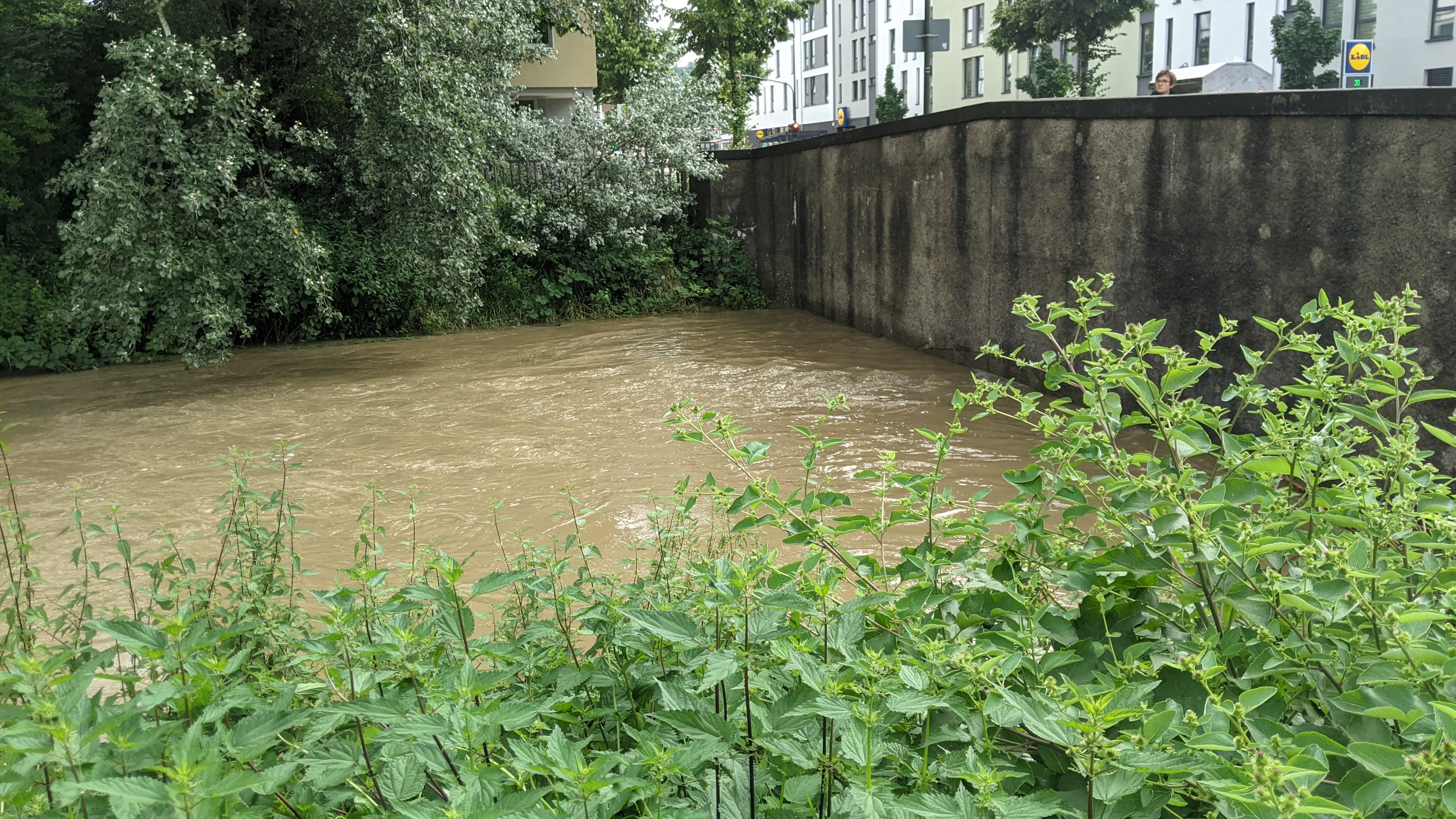 Düssel-Brücke /Foto © NDOZ