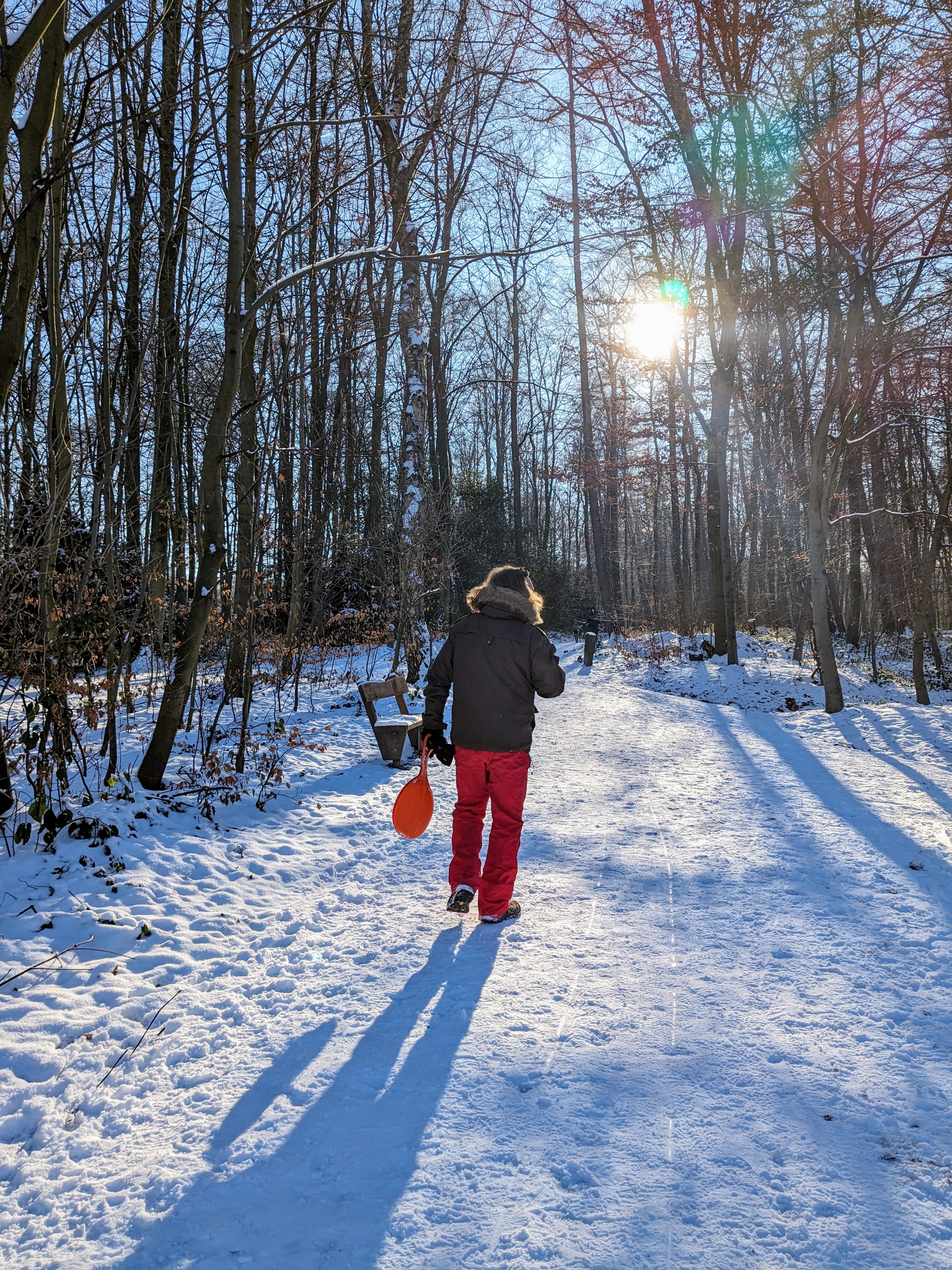 Aaper Wald / Foto: NDOZ