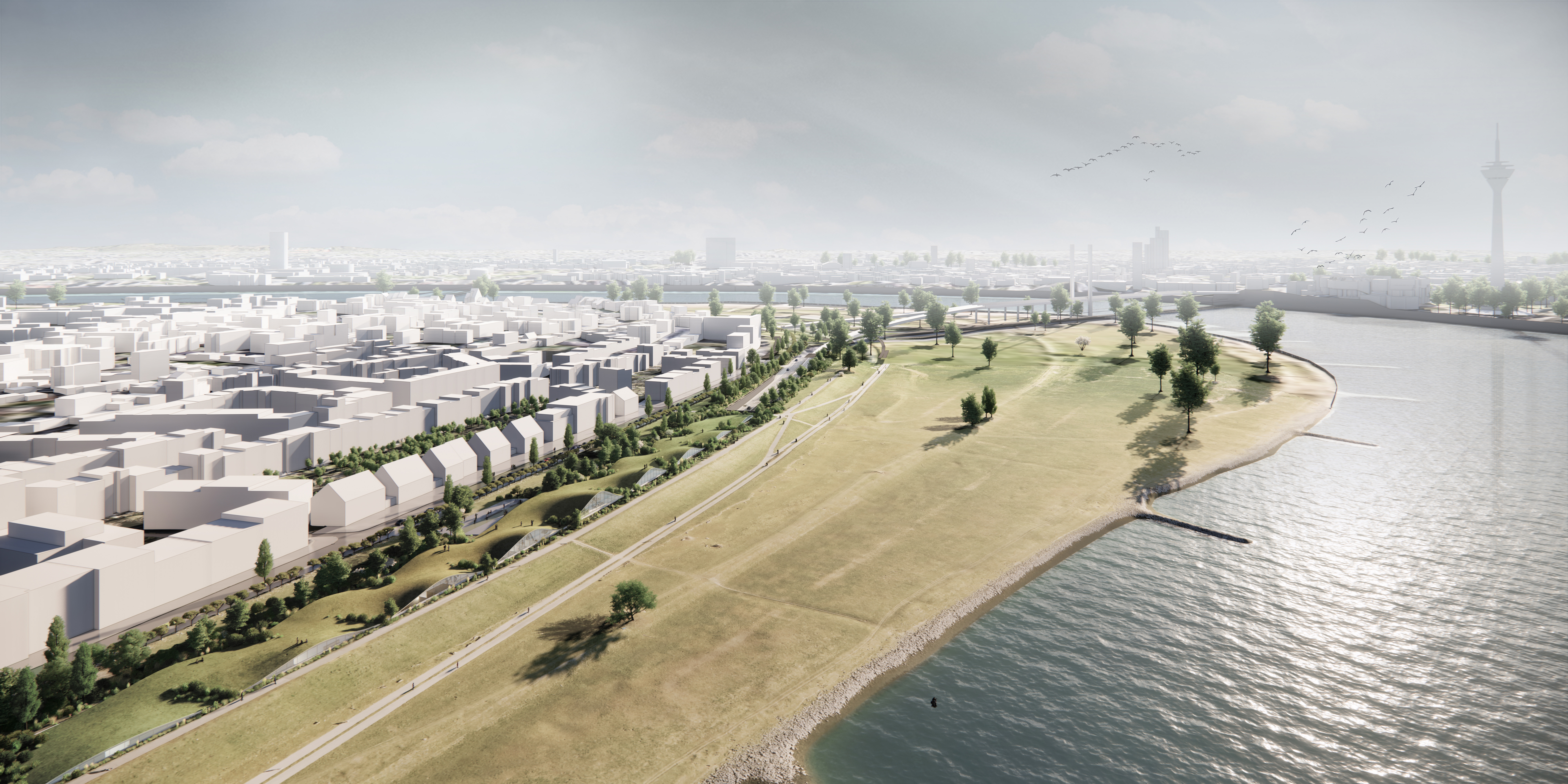 Der visionäre Entwurf sieht eine wellenförmige Überbauung vor, die einen besseren Zugang zu den Rheinwiesen ermöglicht © CENTRUM Gruppe/STRUCTURELAB