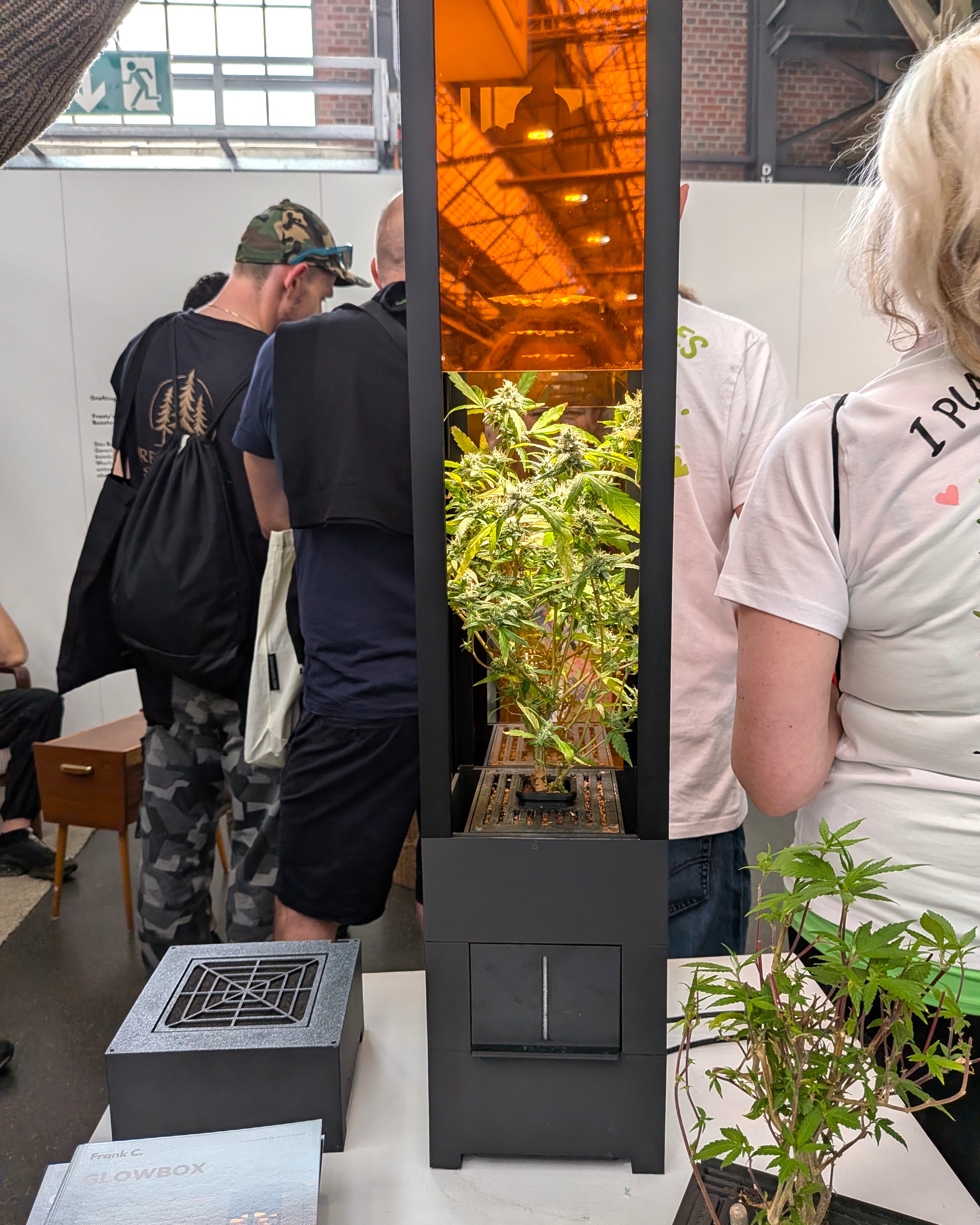 Schmale beleuchtete Growbox auf der Cannafair Düsseldorf