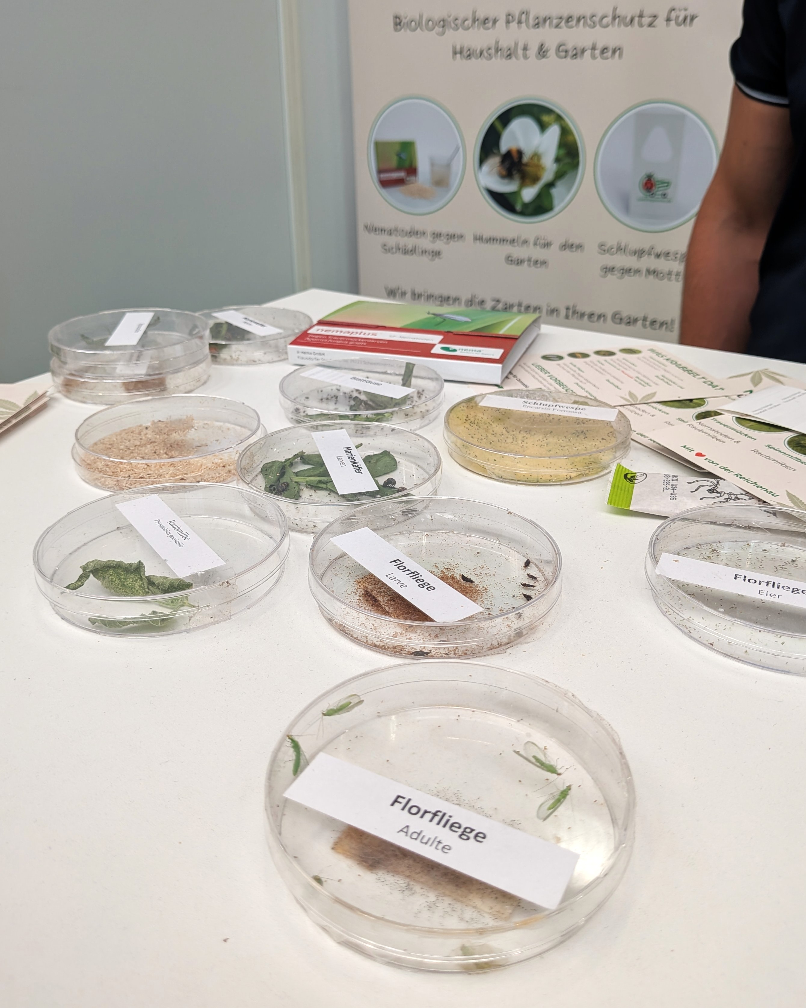Beschriftete Petrischalen mit Nützlingen für biologischen Pflanzenschutz