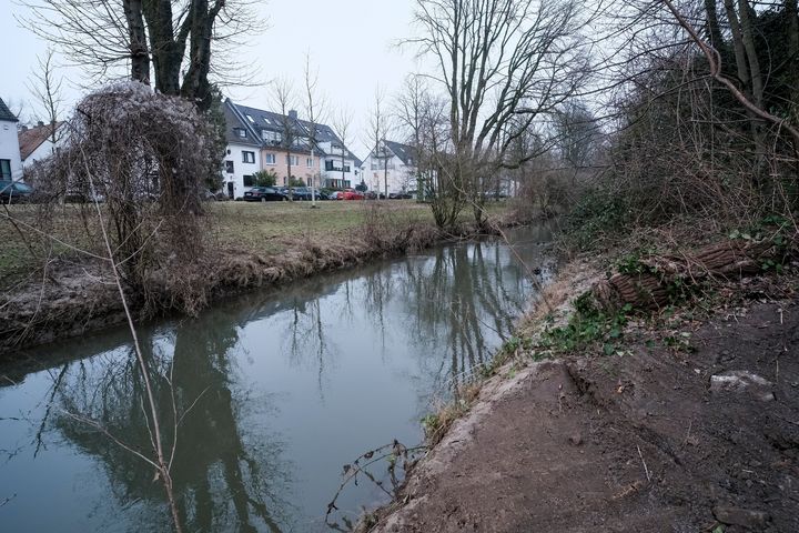 Der Stadtentwässerungsbetrieb der Landeshauptstadt Düsseldorf baut an der Nördlichen Düssel entlang der Altenbergstraße in Grafenberg eine Hochwasserschutzwand aus Stahlbeton und legt eine 400 Quadratmeter große sogenannte Sekundäraue an © Landeshauptstadt Düsseldorf/Michael Gstettenbauer 