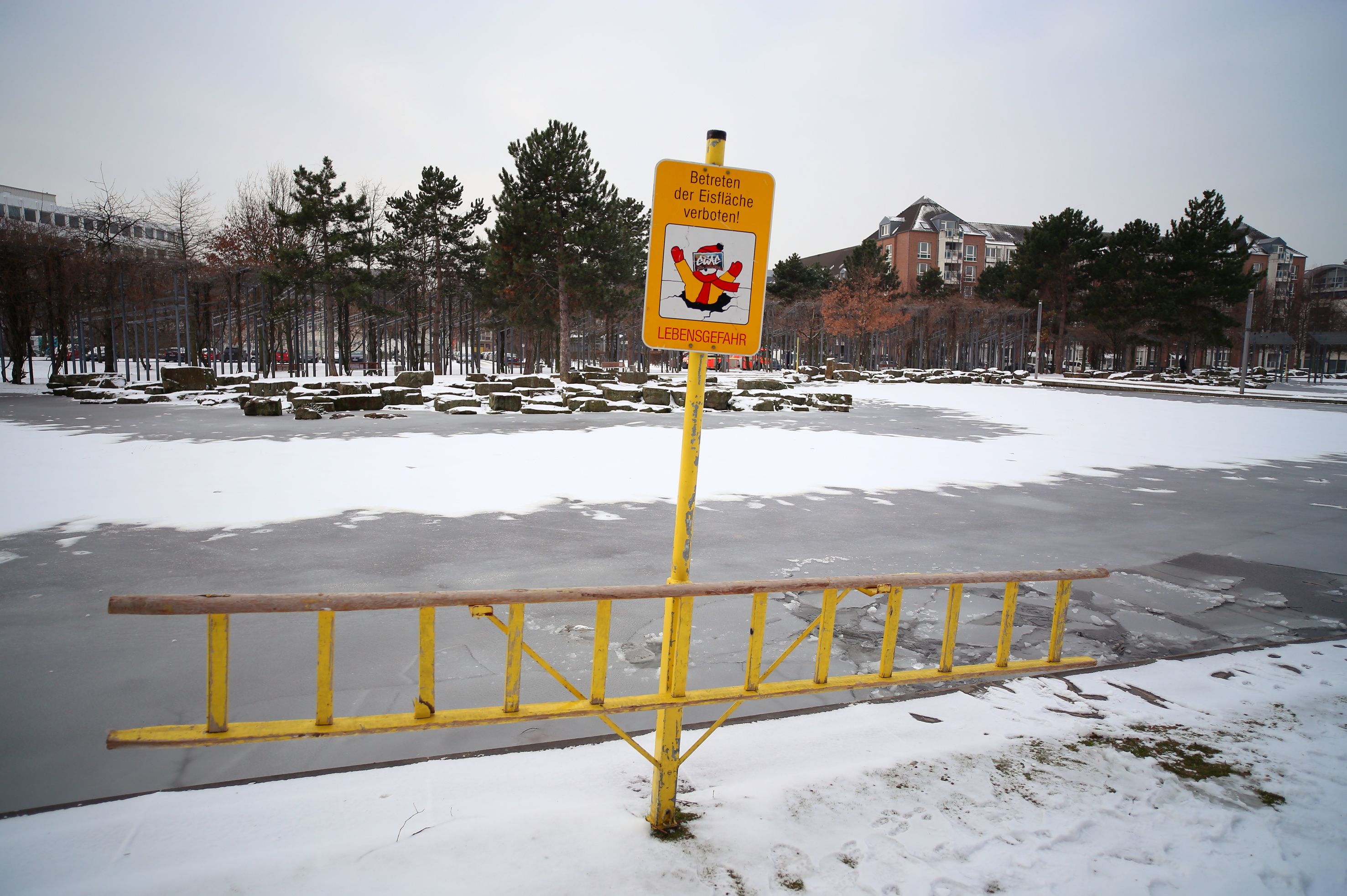 Eine von insgesamt rund 40 Eisleitern, die im gesamten Düsseldorfer Stadtgebiet an Gewässern aufgestellt werden © Landeshauptstadt Düsseldorf/Archivbild: Ingo Lammert 