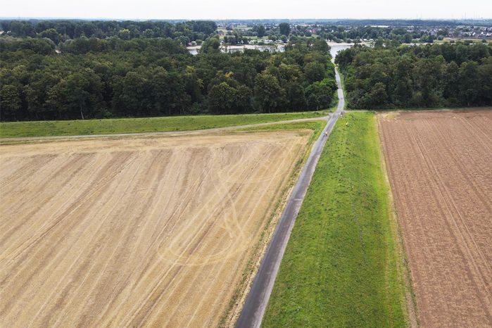 Das Bundesverwaltungsgericht hat den Weg für eine Rheindeichrückverlegung im Himmelgeister Rheinbogen frei gemacht /Foto: Dirk Jansen