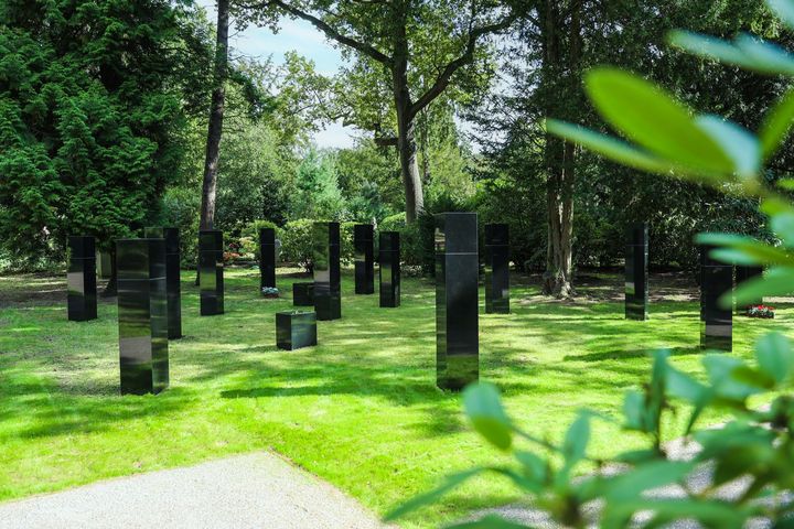 14 Stelen in unterschiedlicher Höhe haben im Urnenstelenhain - direkt hinter dem Ehrengrab von Oberbürgermeister Joachim Erwin gelegen – Platz gefunden © Landeshauptstadt Düsseldorf/Melanie Zanin 