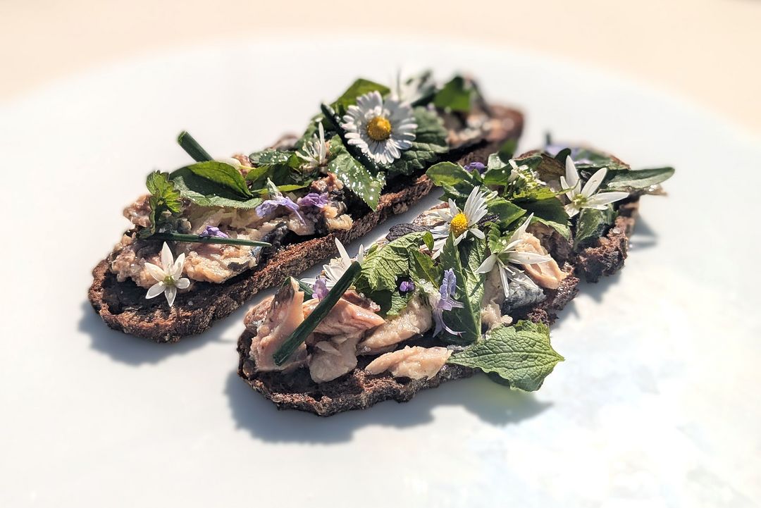 Bretonische Sardinen mit Knoblauch und Sauerteigbrot – meine Frühlingsversion aus dem neuen Kochbuch von Sascha Stemberg mit Wildkräutern aus dem Garten. Einfach, rustikal und voller Aroma! / Foto: Alexandra Scholz-Marcovich, NDOZ