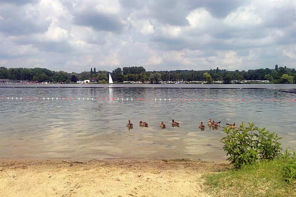 "Die fortschreitende Beschränkung und Privatisierung von Naherholungsgebieten ist nicht weiter hinnehmbar!", Bürgerinitiative Angermunder See - besser für alle - Nur am Unterbacher See existieren zwei kostenpflichtige Freibäder, die aber zur Sommerzeit völlig überfüllt sind / Foto Unterbacher See Düsseldorf @ Alexandra Scholz Marcovich