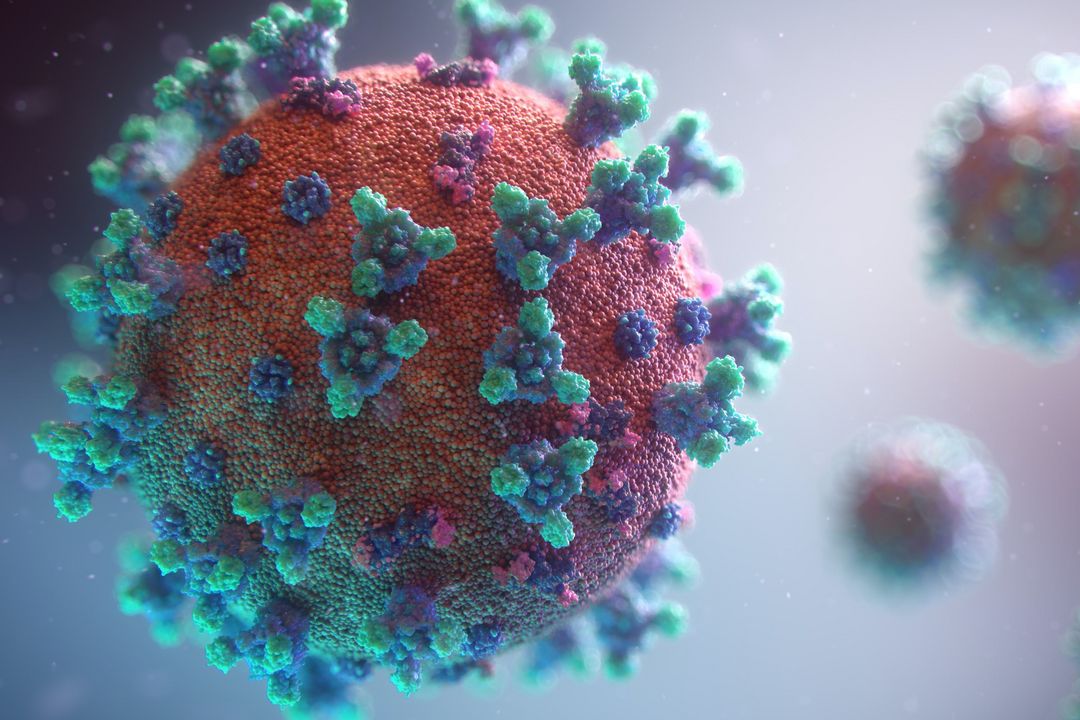 Neue Coronaschutzverordnung des Landes: Wegfall von 2G-Regel im Einzelhandel / Foto @ Fusion Medical Animation