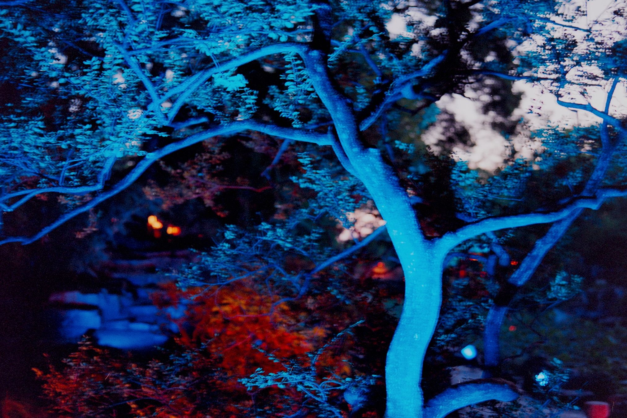 Abstrakte Werkabbildung in Blau- und Rottönen (Ausstellung „DIE NEUEN 2026“ im BBK Kunstforum Düsseldorf).