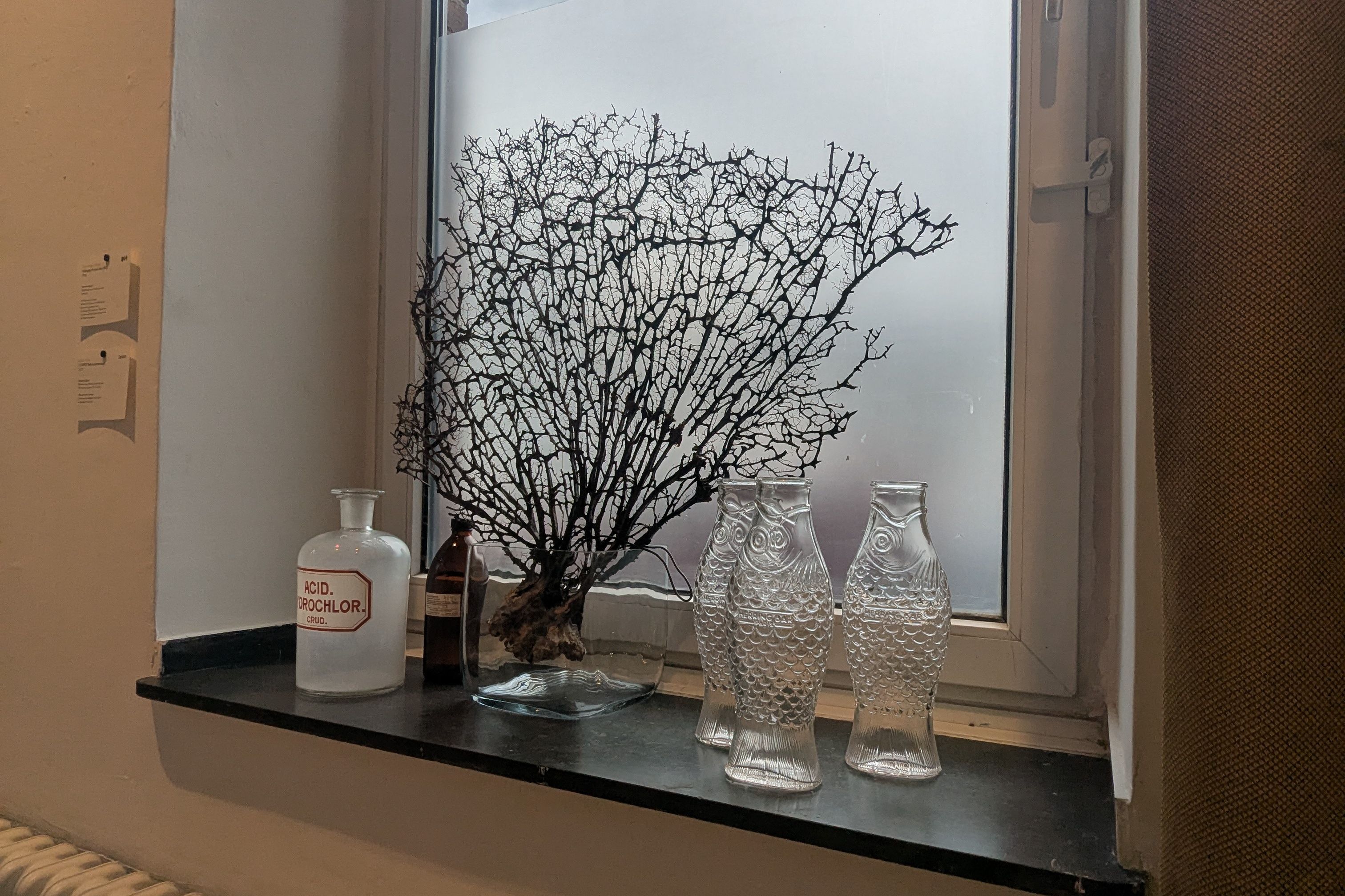 Lieblingsdetails am Fenster: Seepflanze, Fischkaraffen und altes Apothekerglas. / Foto: NDOZ