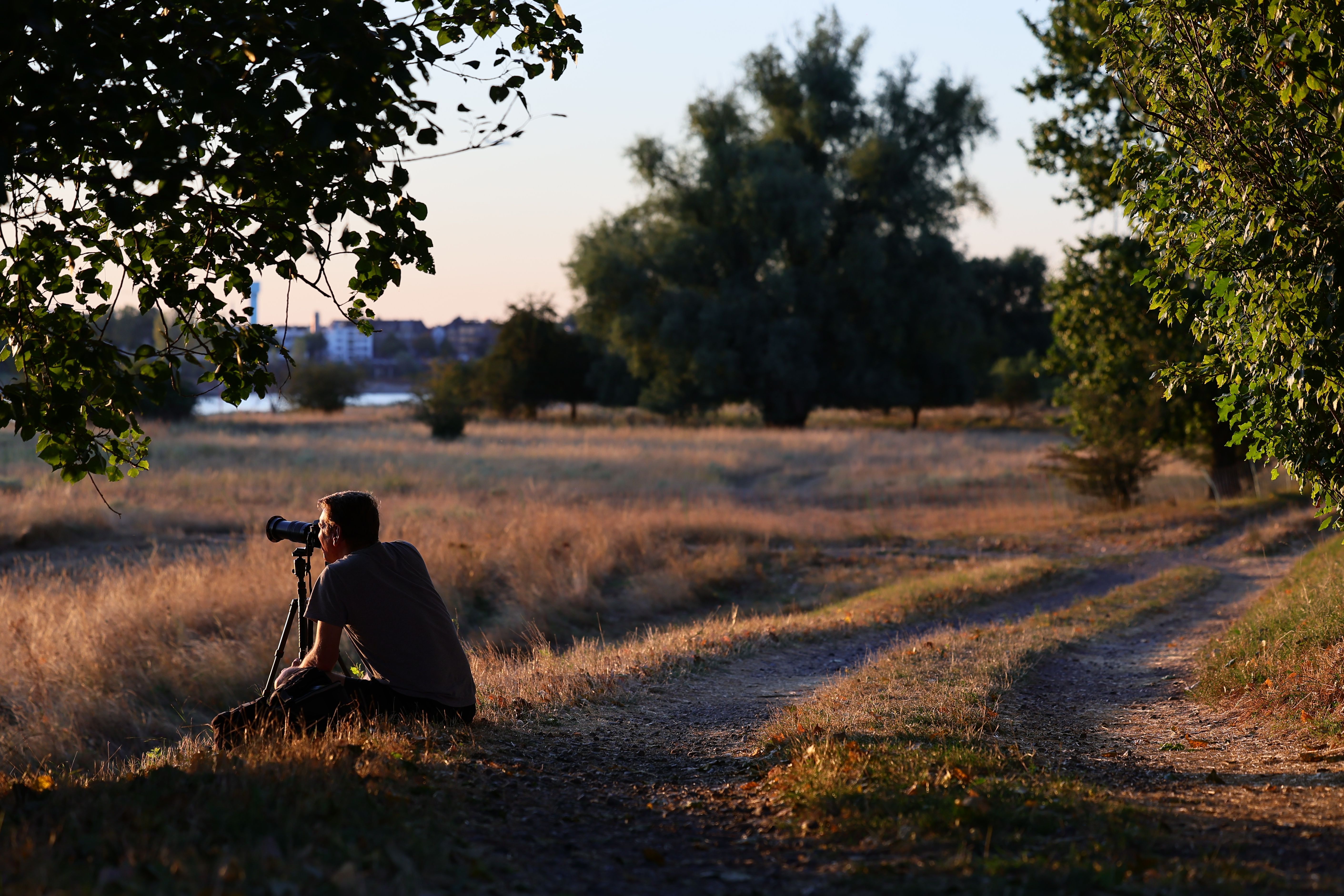 Eine Person sitzt während der Sonnenfinsternis in der Abendlandschaft am Düsseldorfer Rheinufer.