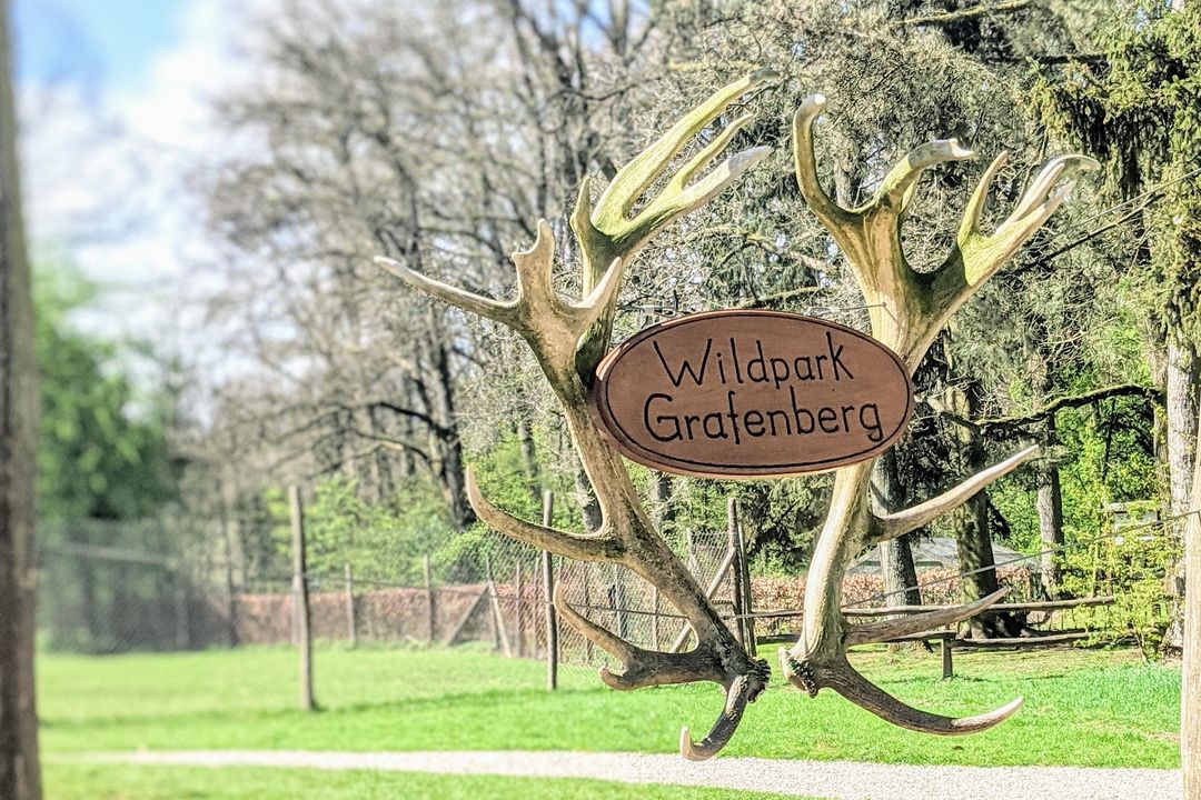 Gewitterwarnung: Wildpark schließt heute ab 14 Uhr und bleibt auch am Freitag geschlossen / Foto: Wildpark Düsseldorf Grafenberg © Alexandra Scholz Marcovich