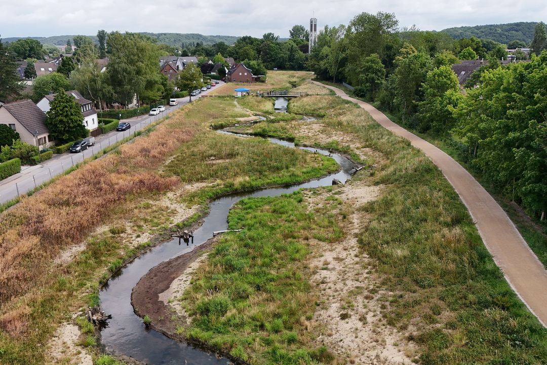 Abschluss des 2. Bauabschnitts zum naturnahen Ausbau der Südlichen Düssel in Vennhausen / Foto: Landeshauptstadt Düsseldorf / David Young