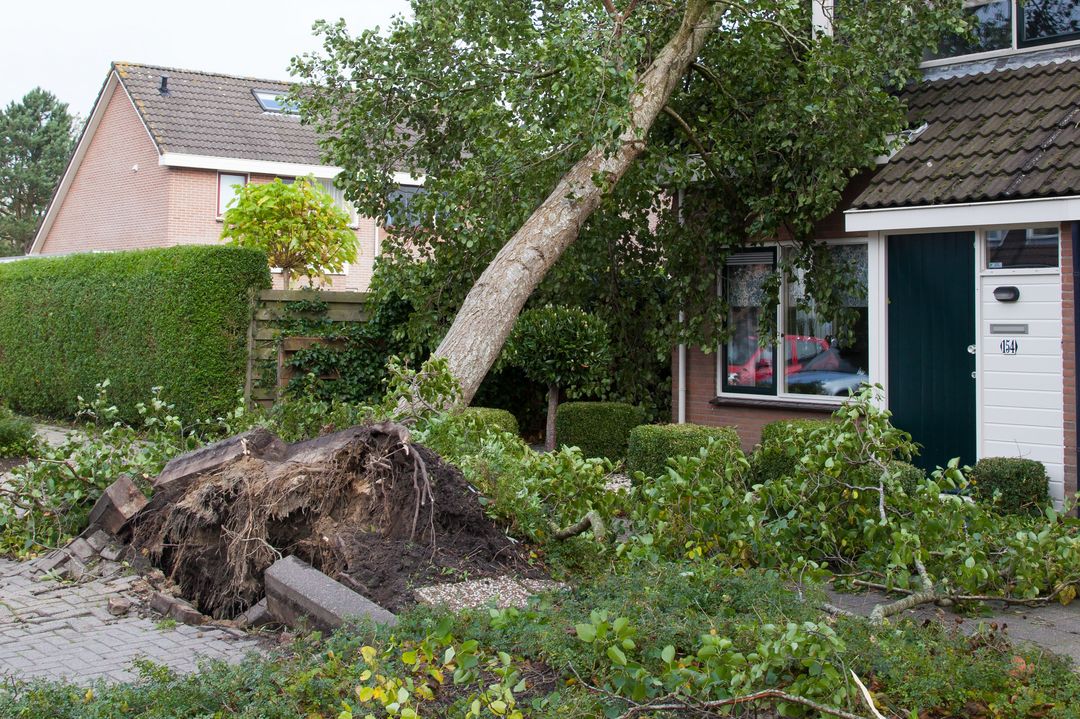 Heftige Gewitter mit Starkregen und starken Sturmböen. So wird das Heim sturmfest © VZ NRW/adpic