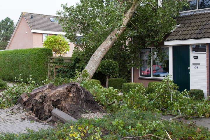 Heftige Gewitter mit Starkregen und starken Sturmböen. So wird das Heim sturmfest © VZ NRW/adpic