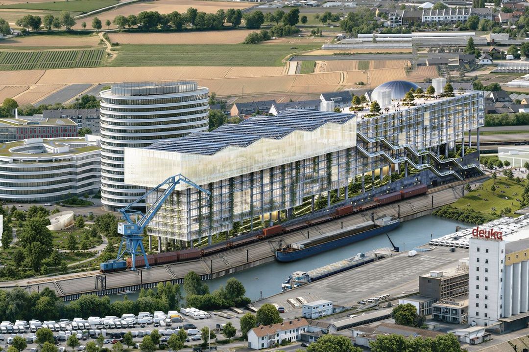 Geplanter WHU-Campus im Düsseldorfer Medienhafen Visualisierung des geplanten WHU-Campus auf der Halbinsel Kesselstraße im Düsseldorfer Medienhafen.
