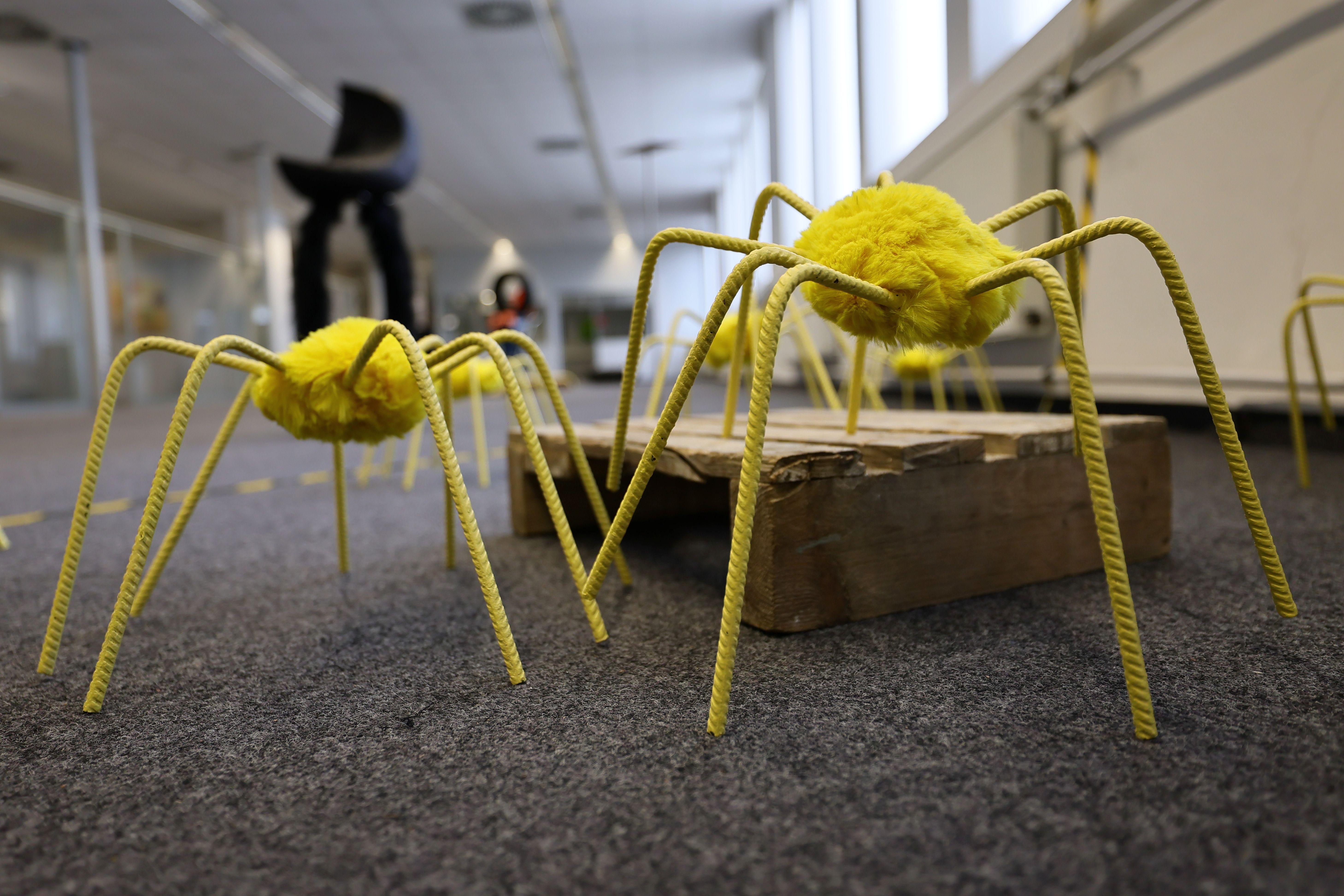 Ausstellung „KÜNSTLERINNEN! JETZT!“ in Düsseldorf-Heerdt. / Foto: Klaus von Jackelmann