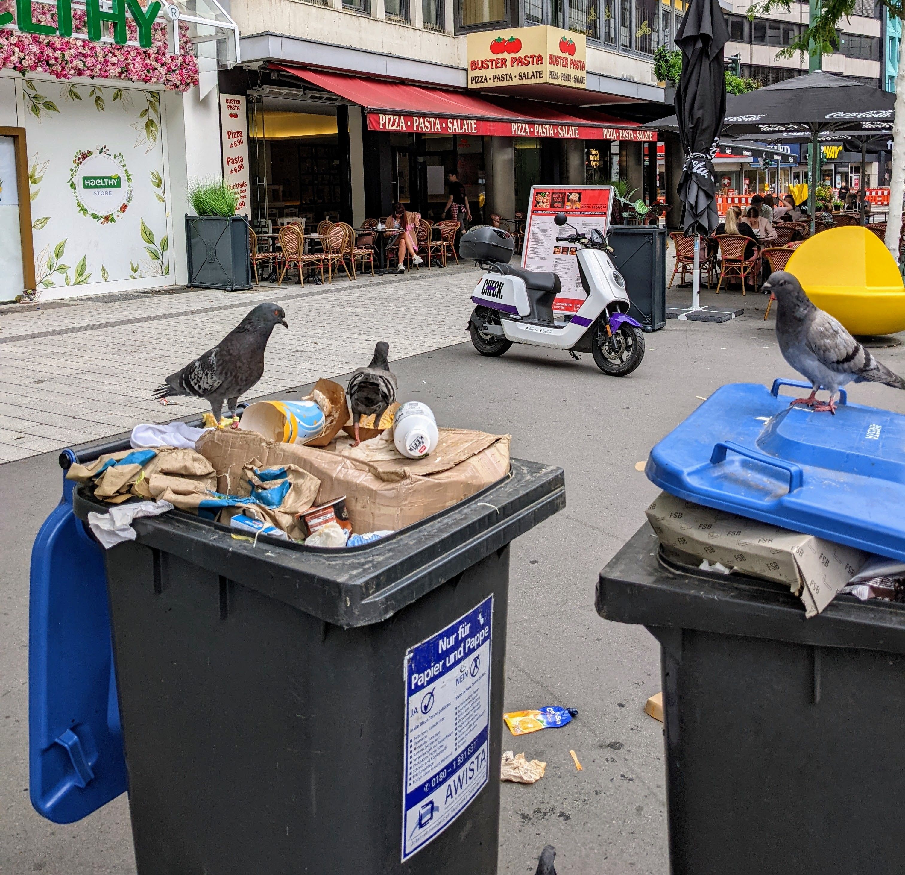 Abfallbehälter im Stadtbild – überfüllt und von Tauben umringt. Ein Zustand, der in vielen Teilen Düsseldorfs Alltag ist. / Foto: Archiv NDOZ
