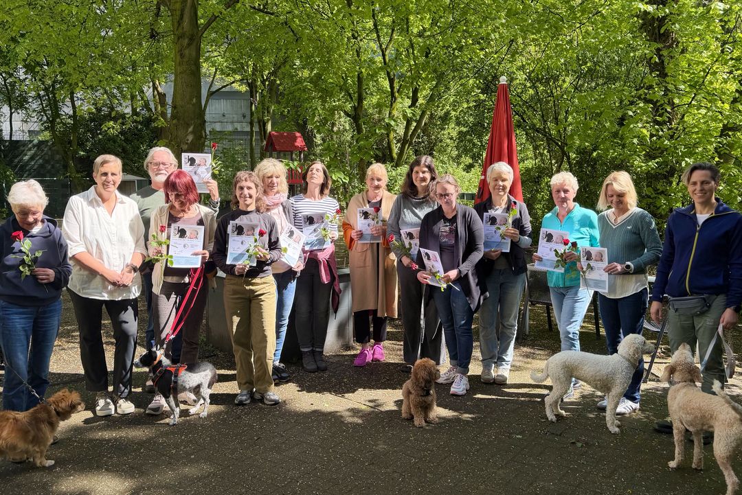 Gruppe von Ehrenamtlichen mit ihren Hunden bei der Zertifikatsübergabe des Hundebesuchsdienstes „4 Pfoten für Sie" am 19. April 2026 im Zentrum plus der AWO Düsseldorf.