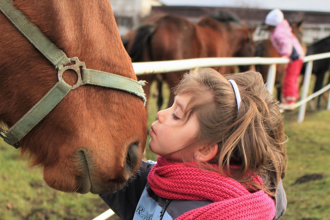 Gutshof Niederheid soll saniert werden © Lucie Hosova, unsplash