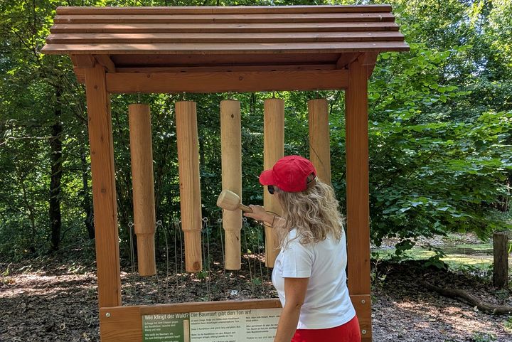 Wie klingt der Wald? Alexandra Scholz-Marcovich probiert die Klanghölzer auf dem Wald-Klima-Pfad im Aaper Wald aus.