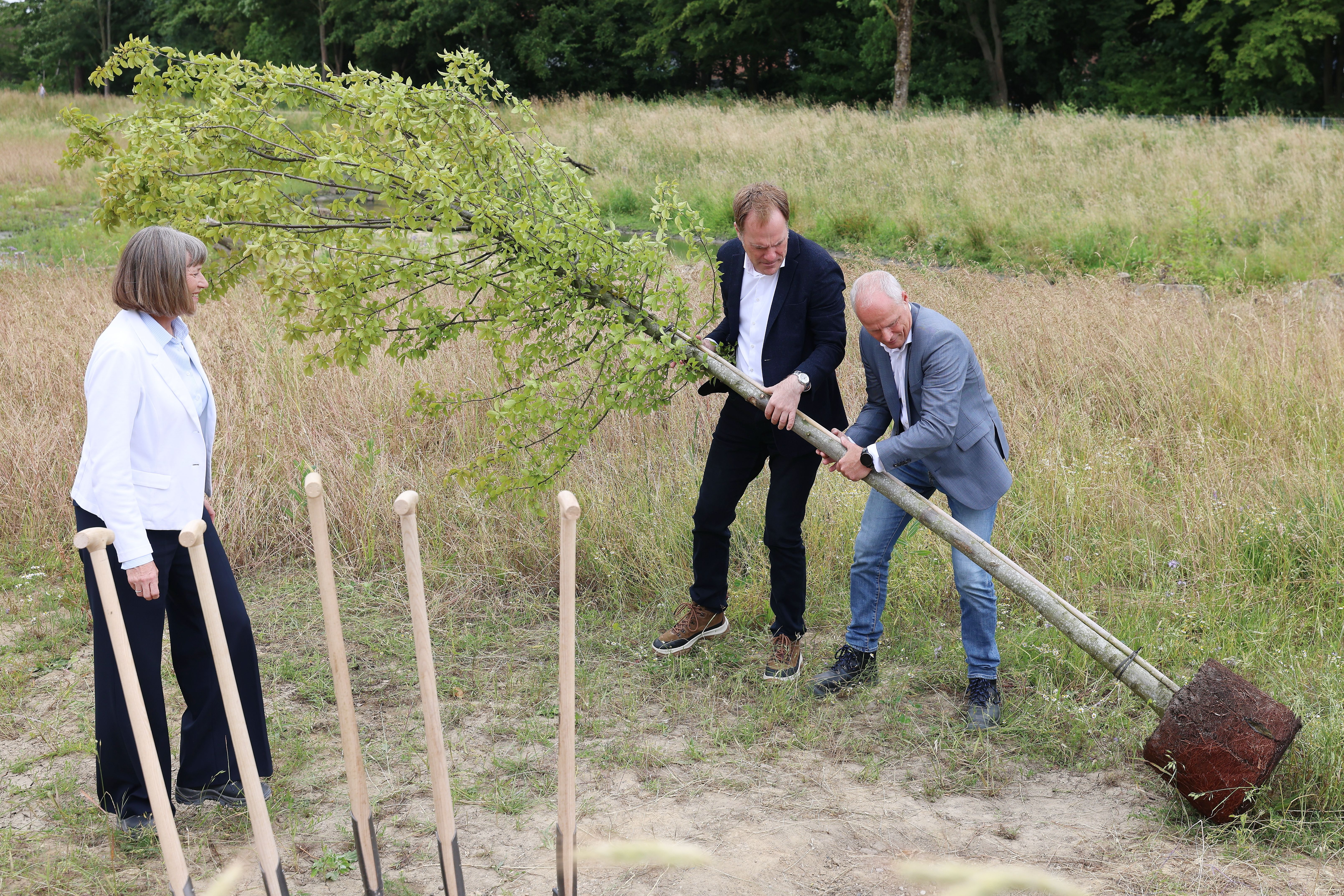 Pflanzten einen symbolischen Baum für die weiteren im Herbst: V.l.: OB Dr. Stephan Keller (m.) mit Frank Heuner, technischer Leiter des Stadtentwässerungsbetriebs / Foto: Landeshauptstadt Düsseldorf / David Young