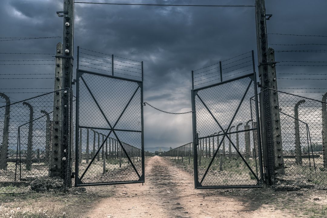 Auschwitz, Poland / Foto © Magdalena Smolnicka, unsplash