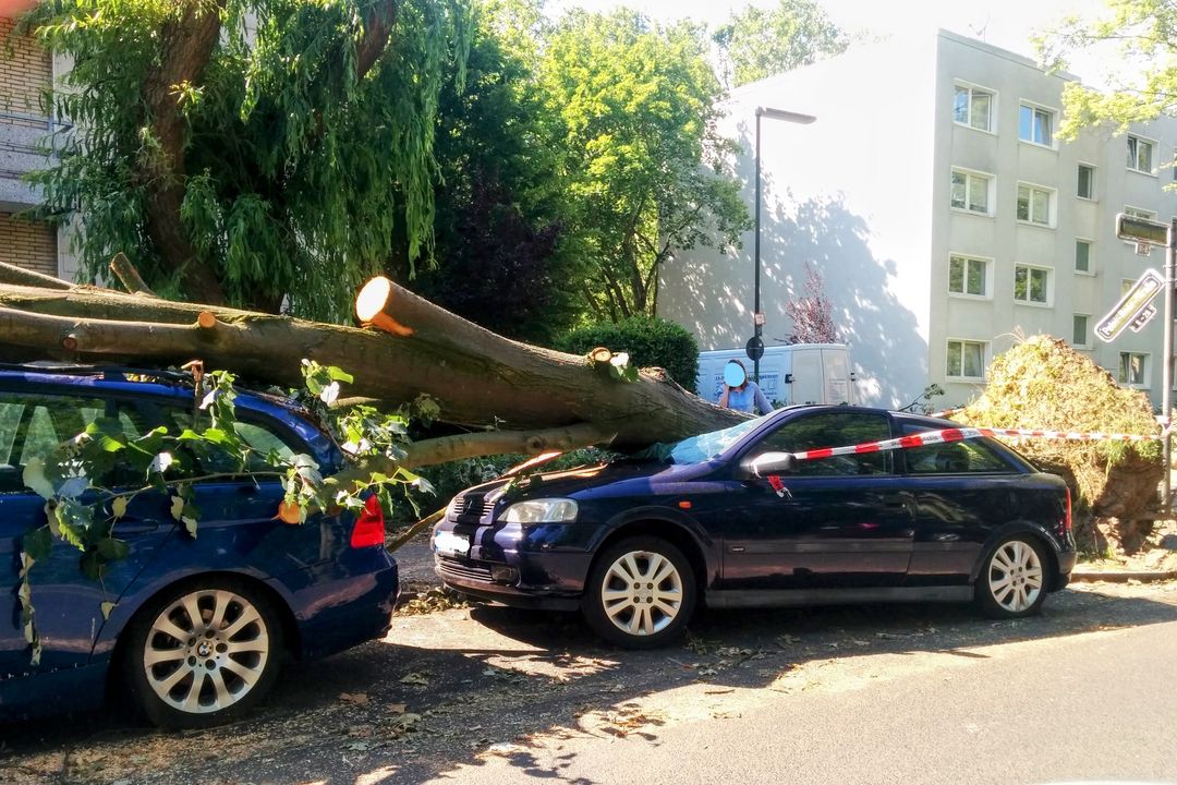 Unwetterwarnung für den 17. Februar 2022 / Foto Orkan "Ela", Juni 2014 © Alexandra Scholz Marcovich