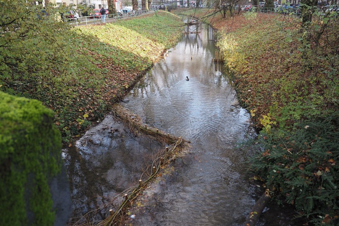 Die Innere Südliche Düssel wurde durch den Stadtentwässerungsbetrieb Düsseldorf entschlammt © Stadtentwässerungsbetrieb Düsseldorf 