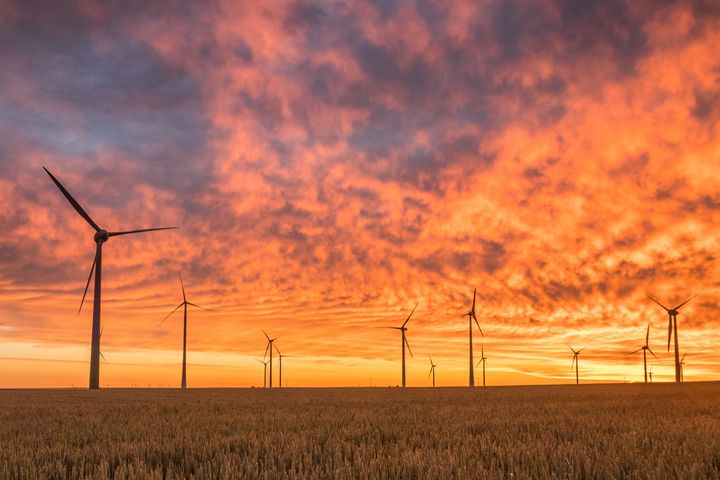 Der Ausbau der Erneuerbaren Energien müsse weiter mit höchster Priorität beschleunigt werden / Foto © Karsten Wurth, unsplash