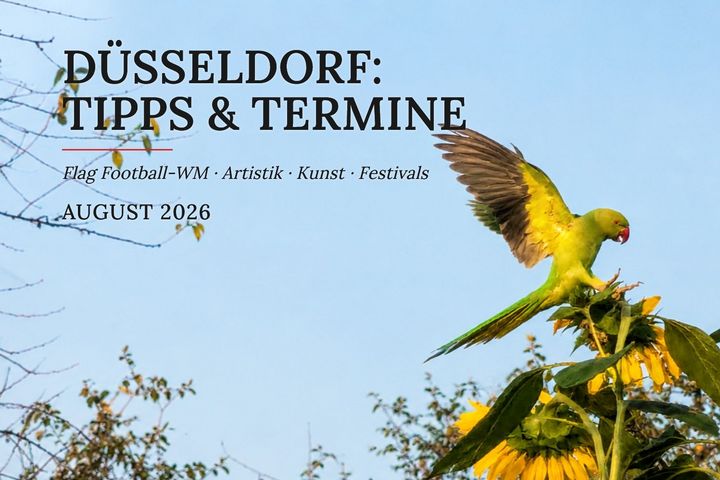 Topbild für die Düsseldorfer Tipps und Termine im August 2026: Ein grüner Halsbandsittich landet mit ausgebreiteten Flügeln auf Sonnenblumen. Links stehen der Titel und die Themen Flag Football-WM, Artistik, Kunst und Festivals.