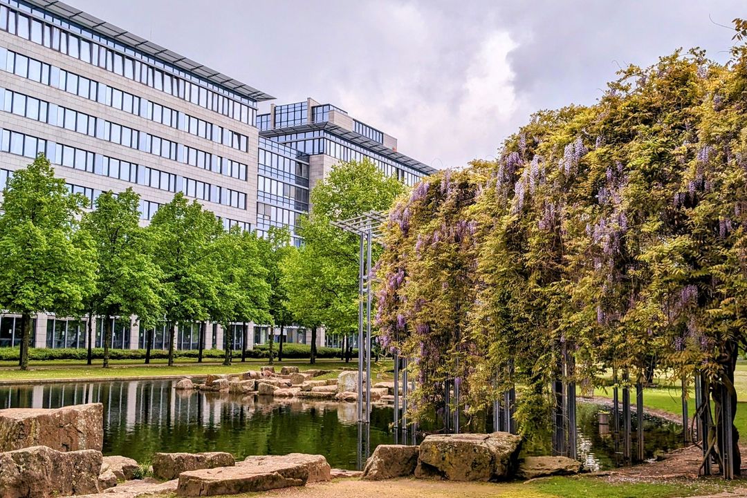 Sie machen die „grünen Jobs“ in Düsseldorf: „Garten- und Landschaftsbauer sind bei Wind und Wetter draußen. Dafür haben sie mehr auf dem Lohnkonto verdient – und nicht weniger. Denn die Inflation ist – um es branchentypisch zu sagen – eine ‚gefräßige Raupe in der Lohntüte‘“, so die IG BAU. / Foto IHZ Park, Düsseldorf © Alexandra Scholz-Marcovich