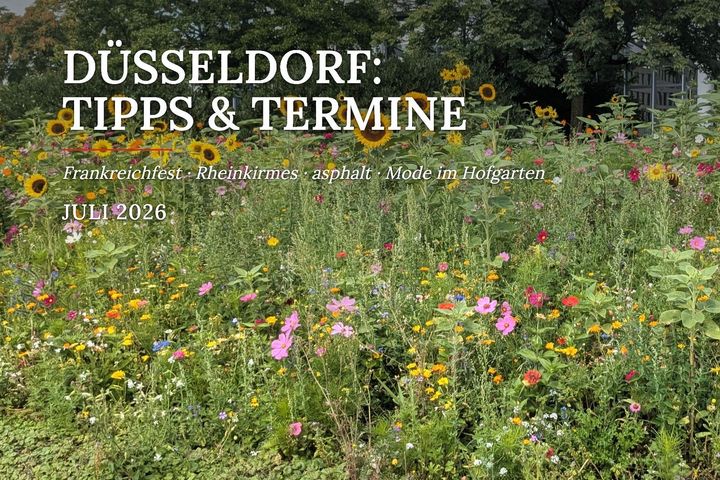 Sommerliche Blumenwiese mit Sonnenblumen vor einem Gebäude in Düsseldorf-Oberbilk.