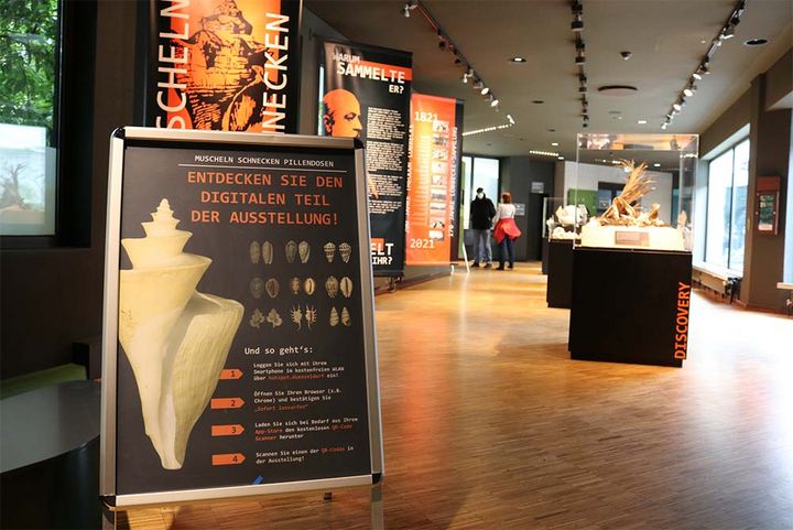 Einblicke in die Sonderausstellung: Durch die Unterstützung des Freundeskreises konnte die Ausstellung zum Löbbecke-Jubiläum realisiert werden,(c)Aquazoo Löbbecke Museum