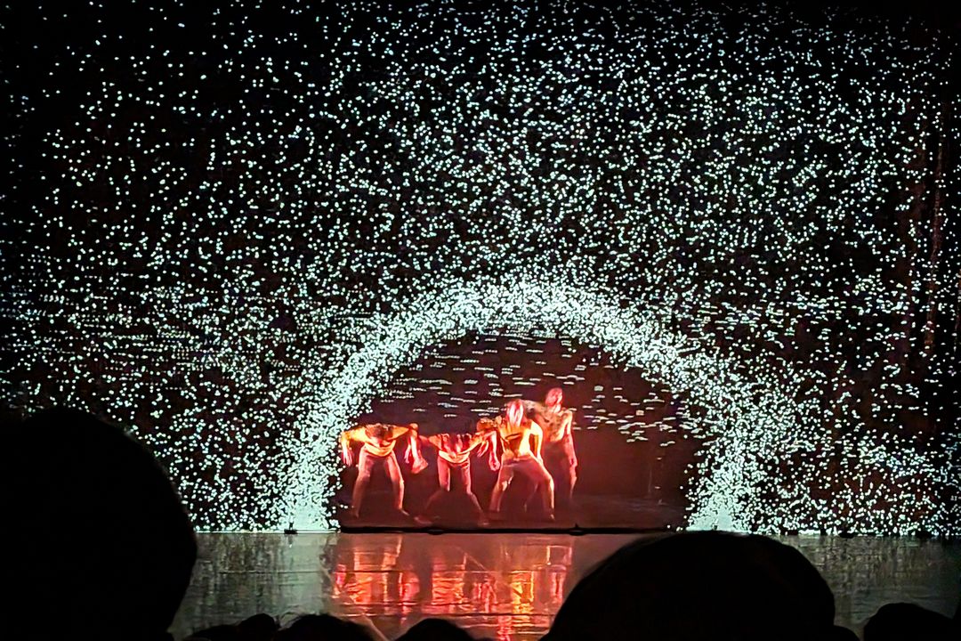 Die Cie Käfig in „Pixel“ beim Düsseldorf Festival 2026: Tänzer bewegen sich in einem kreisförmigen Raum aus Tausenden digitalen Lichtpunkten.