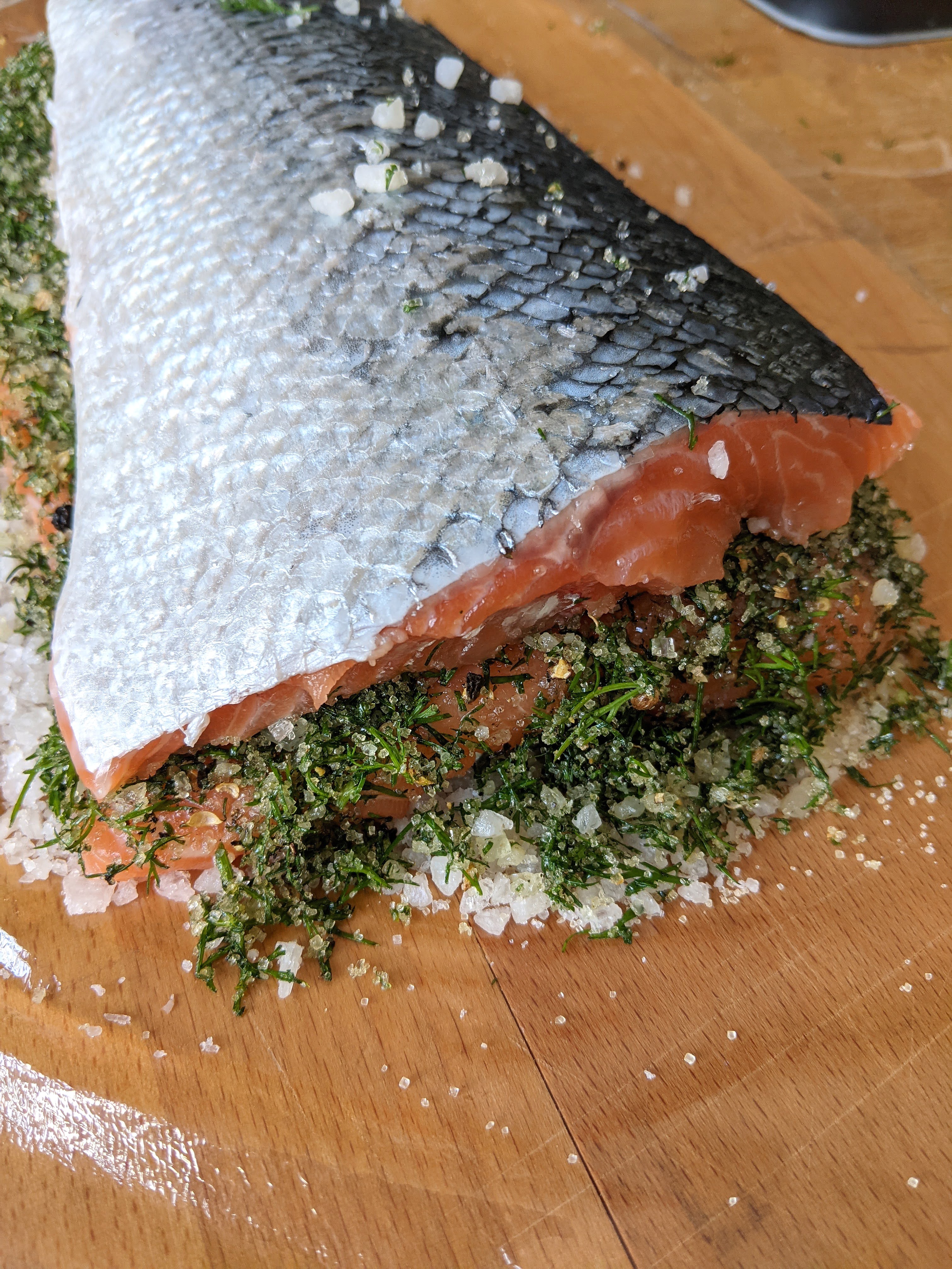 Lachsfilet auf Dill, Salz, Zucker, Pfeffer und Koriandersamen: So startet der Fisch seine 48 Stunden im Kühlschrank../ Foto: Alexandra Scholz-Marcovich, NDOZ.