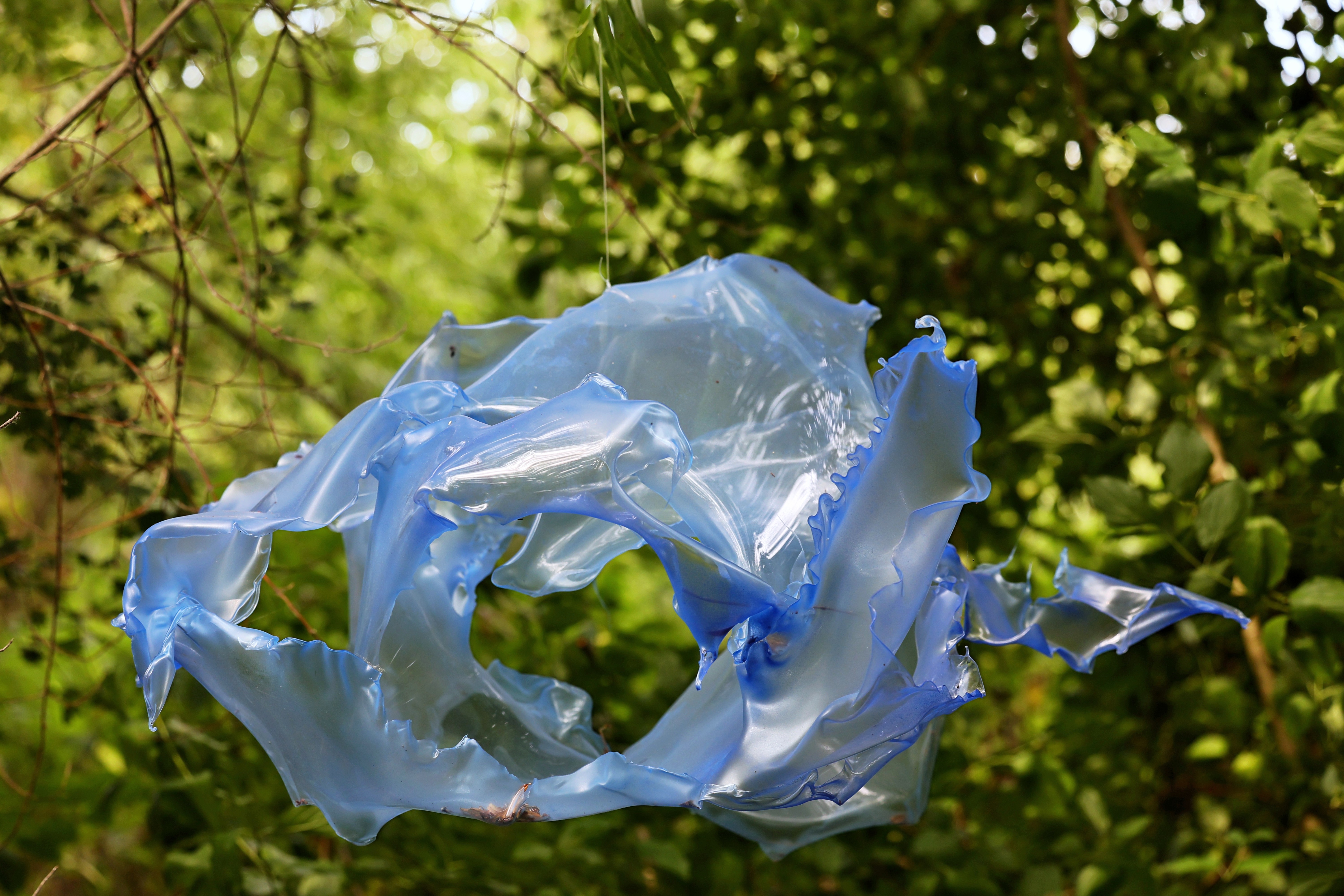 Premeditatio Malorum von Aljoscha im Uferbereich Transparente hellblaue, organisch geformte Acrylglasskulptur von Aljoscha, die zwischen grünen Blättern und Ästen am Suitbertus-See hängt