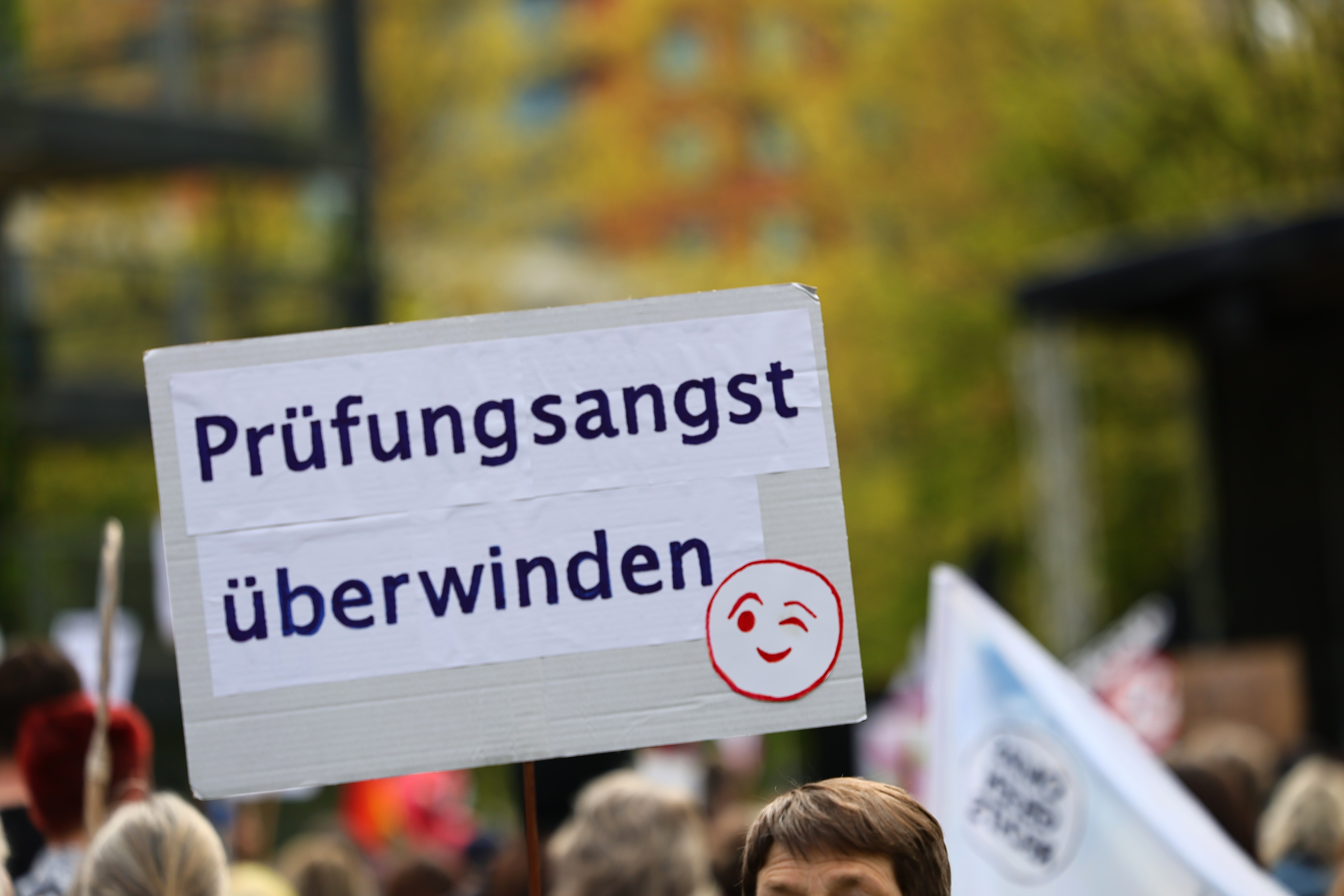 Demonstrant hält Schild mit der Aufschrift „Prüfungsangst überwinden" mit zwinkerndem Smiley bei der PRÜF-Demo in Düsseldorf